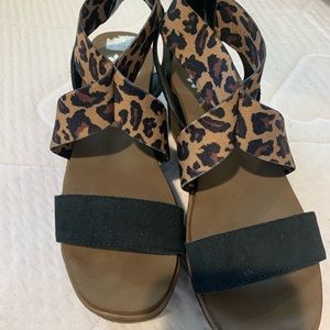 Yellow box cheetah wedges